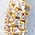 dazzle-tonight-earrings