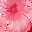 island-beaches-midi-dress-red