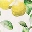 under-the-lemon-tree-midi-dress-print