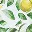 sunkissed-lemonade-off-shoulder-mini-dress-print