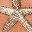 starfish-necklace-gold