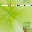 island-girl-claw-clip-green