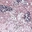 glitter-glow-embellished-strapless-mini-dress-pink