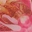 days-gone-by-mesh-sheer-maxi-skirt-pink