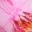 floral-glow-bikini-top-pink-orchid