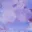 into-the-floral-off-shoulder-top-lilac
