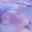 into-the-floral-mini-skirt-lilac
