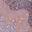 glittered-dreams-embellished-mini-dress-pink