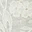 sunlit-soiree-embroidered-set-ivory