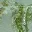 shimmering-song-sequin-lace-up-mini-dress-green
