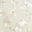 shining-star-sequin-lace-up-back-mini-dress-cream