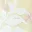 lemonade-petals-mini-dress-yellow