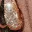 she-did-that-earrings-gold
