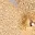 butterfly-feels-earrings-gold