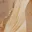 pure-haze-claw-clip-beige
