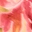 coral-dreams-midi-skirt-yellow