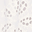 gentle-moon-embroidered-mini-dress-white