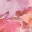 sweet-escape-frill-floral-high-low-maxi-dress-peach
