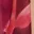 saltwater-spell-sarong-floral-print