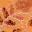 flash-camera-embellished-crop-top-orange