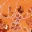flash-camera-embellished-mini-skirt-orange