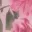 moonflower-glow-maxi-dress-pink-floral