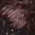 shimmer-darling-sequin-strapless-mini-dress-chocolate