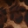 tropic-after-dark-top-leopard-print