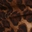 tropic-after-dark-sarong-leopard-print