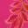 soft-island-dreams-halter-mini-dress-pink
