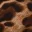 tropic-after-dark-halter-mini-dress-leopard-print