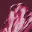 the-night-shift-halter-maxi-dress-wine