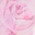 shes-a-party-girl-halter-mini-dress-pink